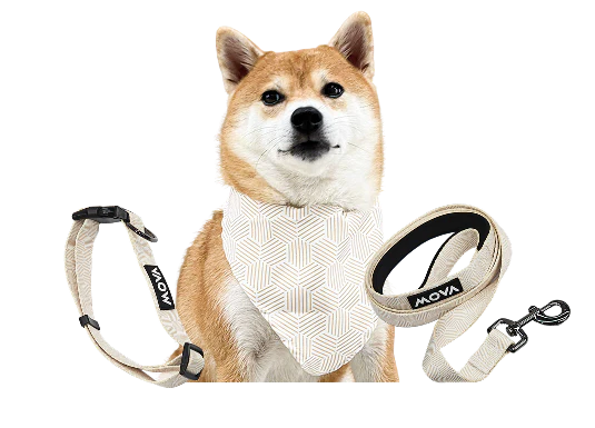 Pet Care